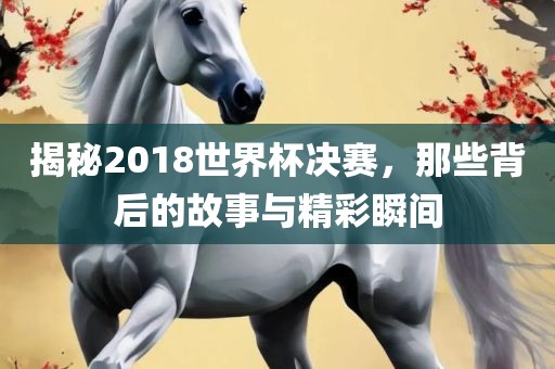 揭秘2018世界杯决赛，那些背后的故事与精彩瞬间