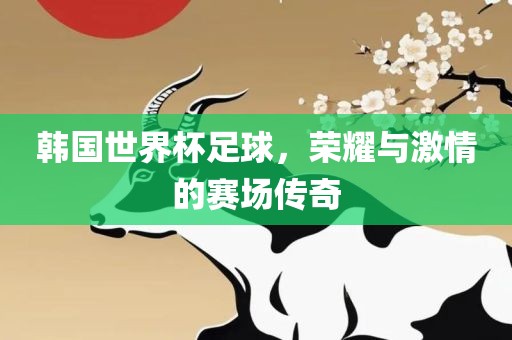 韩国世界杯足球，荣耀与激情的赛场传奇广州熙林手袋有限公司