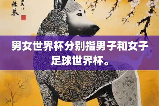 男女世界杯分别指男子和女子足球世界杯。