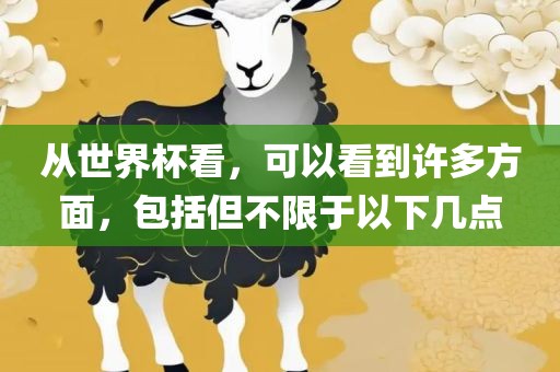 从世界杯看,可以看到许多方面,包括但不限于以下几点广州熙林手袋有限公司