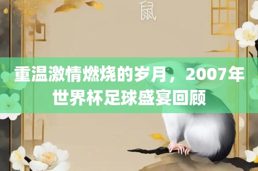 重温激情燃烧的岁月，2007年世界杯足球盛宴回顾广州熙林手袋有限公司