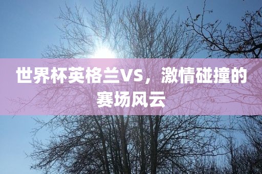 世界杯英格兰VS,激情碰撞的赛场风云