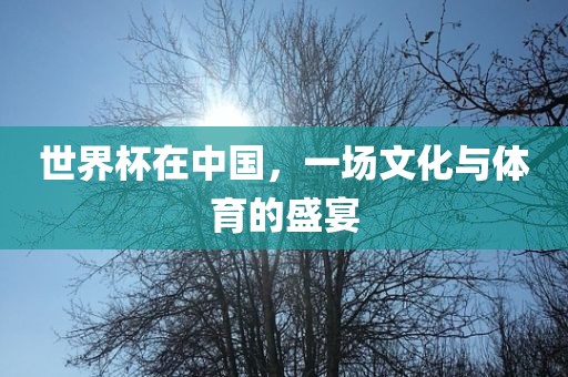 世界杯在中国，一场文化与体育的盛宴