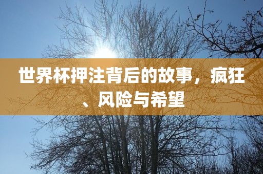 世界杯押注背后的故事,疯广州熙林手袋有限公司狂、风险与希望