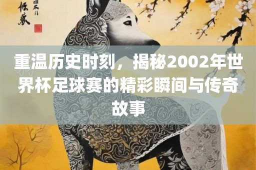 重温历史时刻，揭秘2002年世界杯足球赛的精彩瞬间与传奇故事
