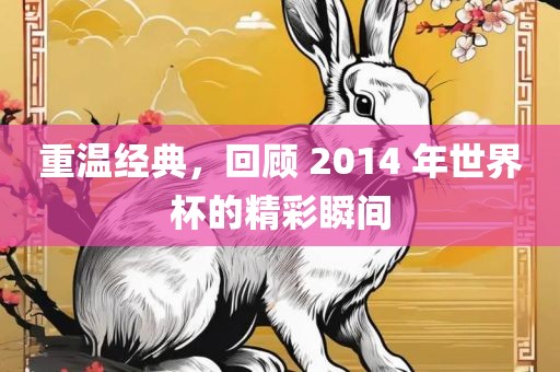 重温经典，回顾 2014 年世界杯的精彩瞬间广州熙林手袋有限公司