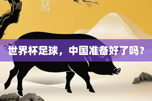 世界杯足球,中国准备好了吗?广州熙林手袋有限公司