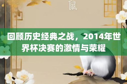 回顾历史经典之战,2014年世界杯决赛的激情与荣耀