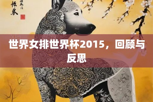 世界女排世界杯广州熙林手袋有限公司2015,回顾与反思