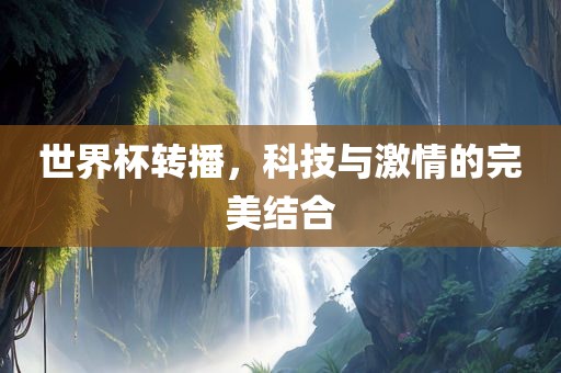 世界杯转播，科技与激情的完美结合