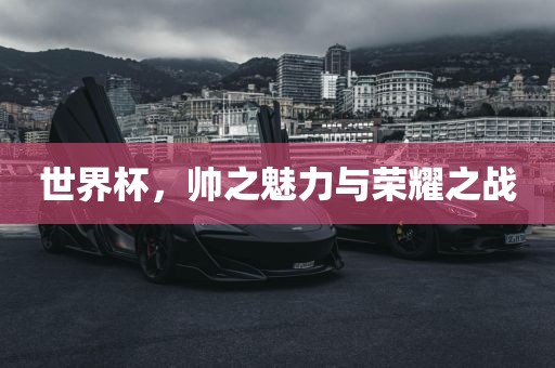 世界杯,帅之魅力与荣耀之战