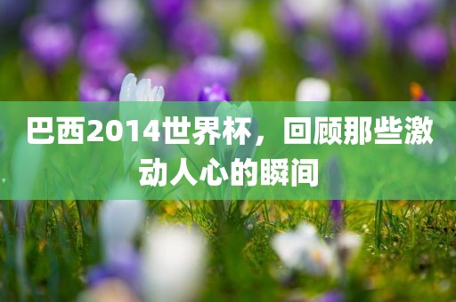 巴西2014世界杯，回顾那些激动人心的瞬间