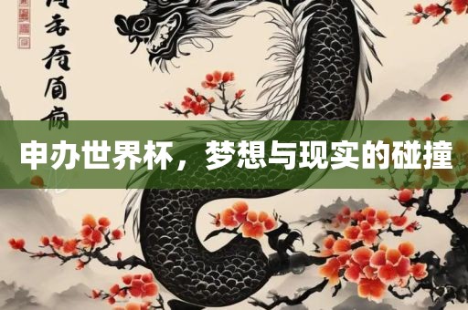 申办世界杯,梦想与现实的碰撞