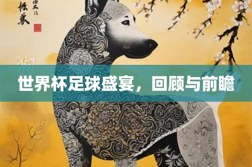 世界杯足球盛宴,回顾与前瞻