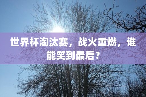 世界杯淘汰赛,战火重燃,谁能笑到最后?