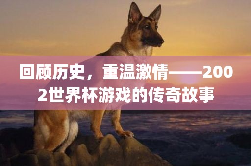 回顾历史,重温激情——2002世界杯游戏的传奇故事