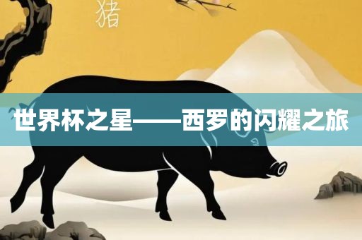 世界杯之星——西罗的闪耀之旅