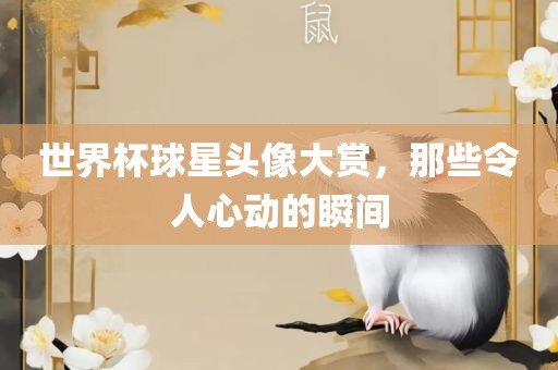 世界杯球星头像大赏,那些令人心动的瞬间