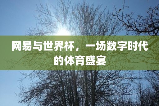 网易与世界杯，一场数字时代的体育盛宴广州熙林手袋有限公司