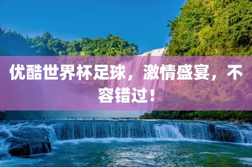 优酷世界杯足球,激情盛宴,不容错过!广州熙林手袋有限公司