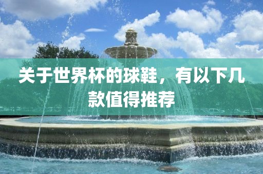 关于世界杯的球鞋,有以下几款值得推荐广州熙林手袋有限公司