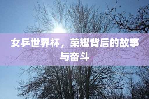 女乒世界杯,荣耀背后的故事与奋斗