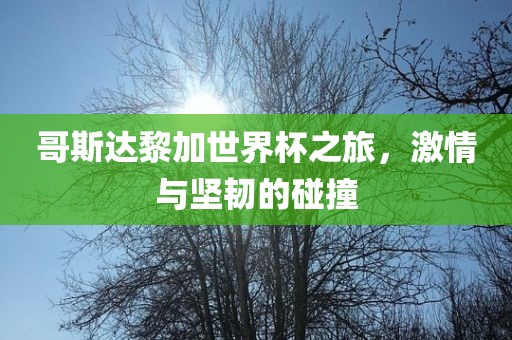 哥斯达黎加世界杯之旅,激情与坚韧的碰撞