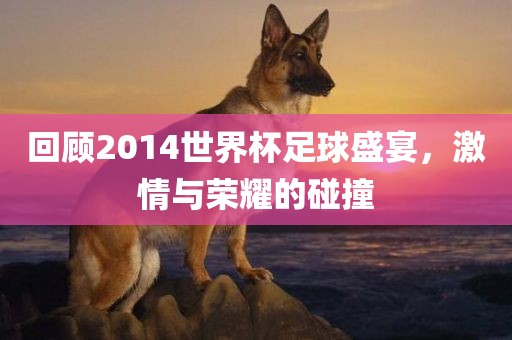 回顾2014世界杯足球盛宴，激情与荣耀的碰撞广州熙林手袋有限公司
