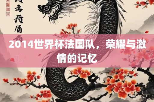 2014世界杯法国队，荣耀与激情的记忆