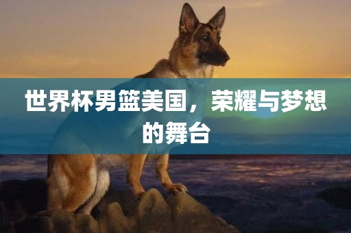 世界杯男篮美国,荣耀与梦想的舞台