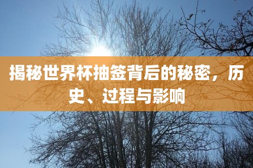 揭秘世界杯抽签背后的秘密,历史、过程与影响