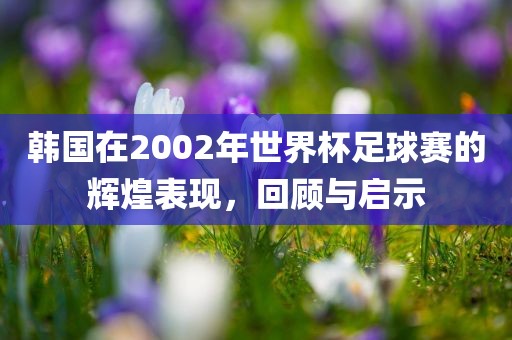 韩国在2002年世界杯足球赛的辉煌表现,回顾与启示