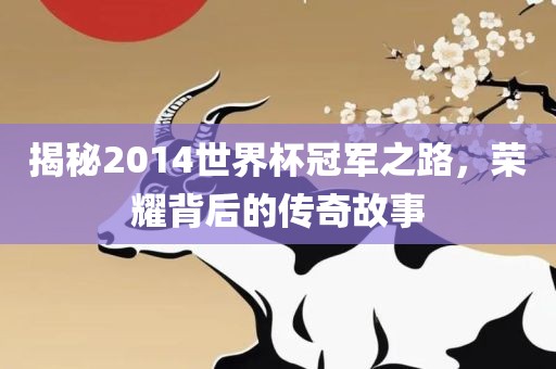 揭秘2014世界杯冠军之路，荣耀背后的传奇故事