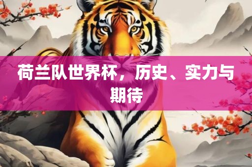 荷兰队世界杯，历史、实力与期待