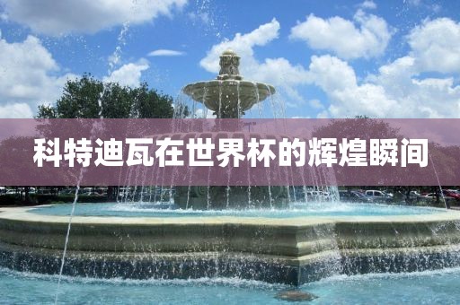 科特迪瓦在世界杯的辉煌瞬间