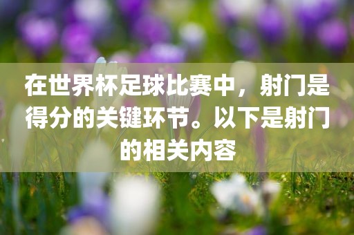 在世界杯足球比赛中,射门是得分的关键环节。以下是射门的相关内容