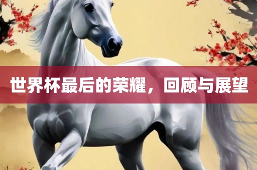 世界杯最后的荣耀,回顾与展望广州熙林手袋有限公司