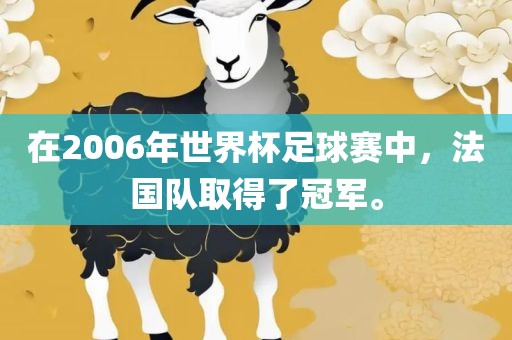 在2006年世界杯足球赛中，法国队取得了冠军。