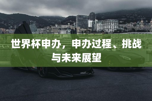 世界杯申办,申办过程、挑战与未来展望