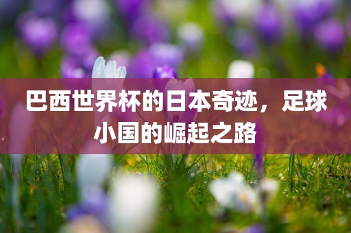 巴西世界杯的日本奇迹,足球小国的崛起之路广州熙林手袋有限公司