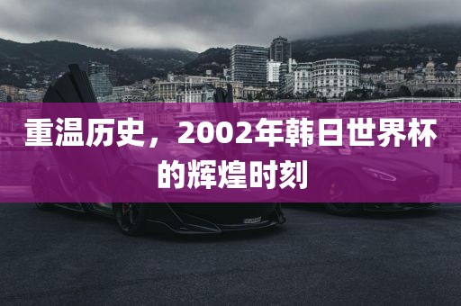 重温历史,2002年韩日世界杯的辉煌广州熙林手袋有限公司时刻