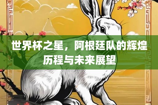 世界杯之星,阿根廷队的辉煌历程与未来展望