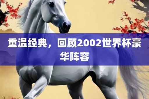 重温经典,回顾2002世界杯豪华阵容