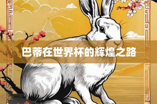 巴蒂在世界杯的辉煌之路广州熙林手袋有限公司