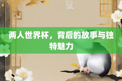 两人世界杯,背后的故事与独特魅力