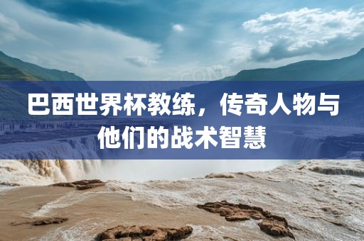 巴西世界杯教练,传奇人物与他们的战术智慧广州熙林手袋有限公司