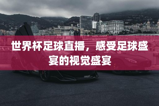 世界杯足球直播,感受足球盛宴的视觉盛宴广州熙林手袋有限公司