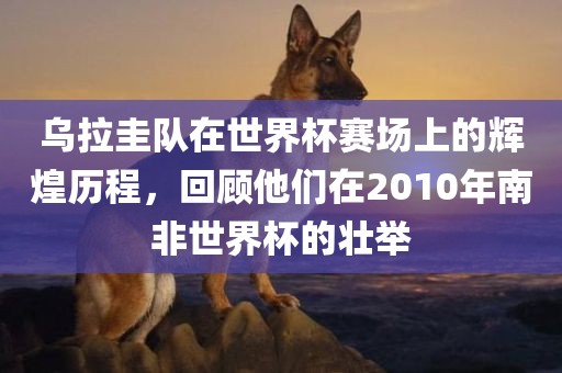 乌拉圭队在世界杯赛场上的辉煌历程，回顾他们在2010年南非世界杯的壮举广州熙林手袋有限公司