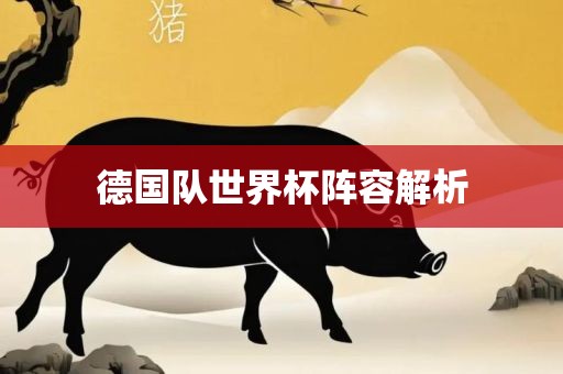 德国队世界杯阵容解析