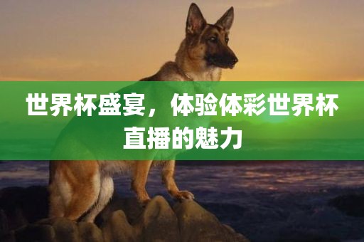 世界杯盛宴,体验体彩世界杯直播的魅力广州熙林手袋有限公司